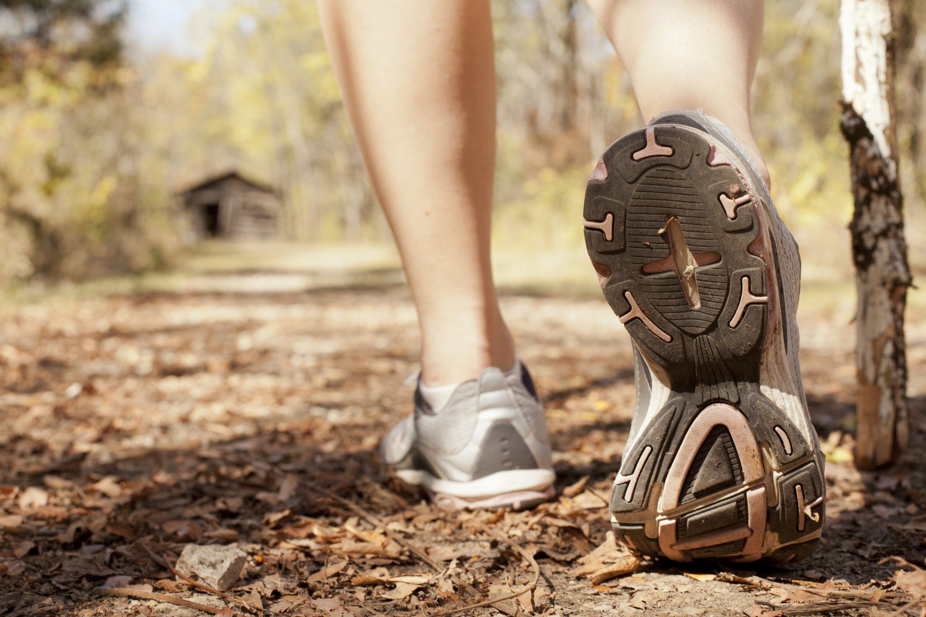 5 Healthy Ideas for Happy Camping!