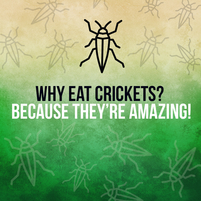 Why Eat Crickets?