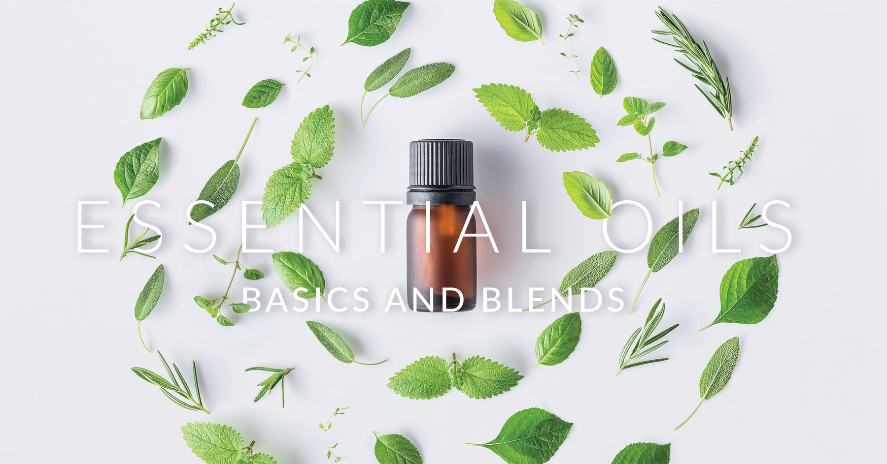 Essential Oils 101 - Including 4 Fall Blends