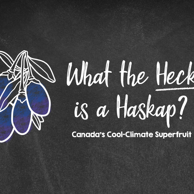 Haskap Berries: Canada’s Cool-Climate Superfruit