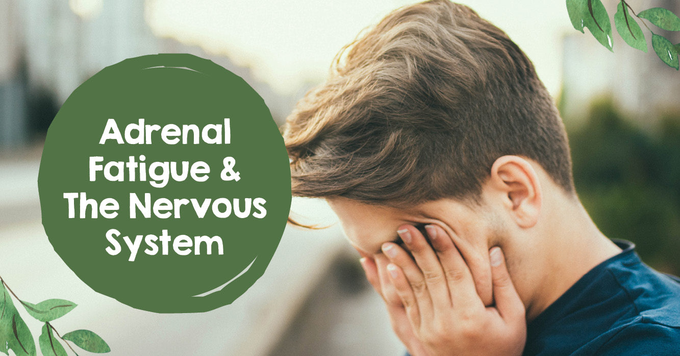 Adrenal Fatigue & The Nervous System