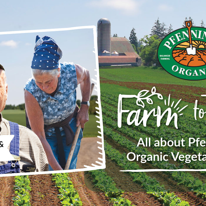 Farm to Table - All about Pfenning's Organic Vegetable Farm