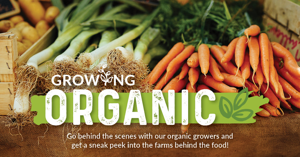 Growing Organic