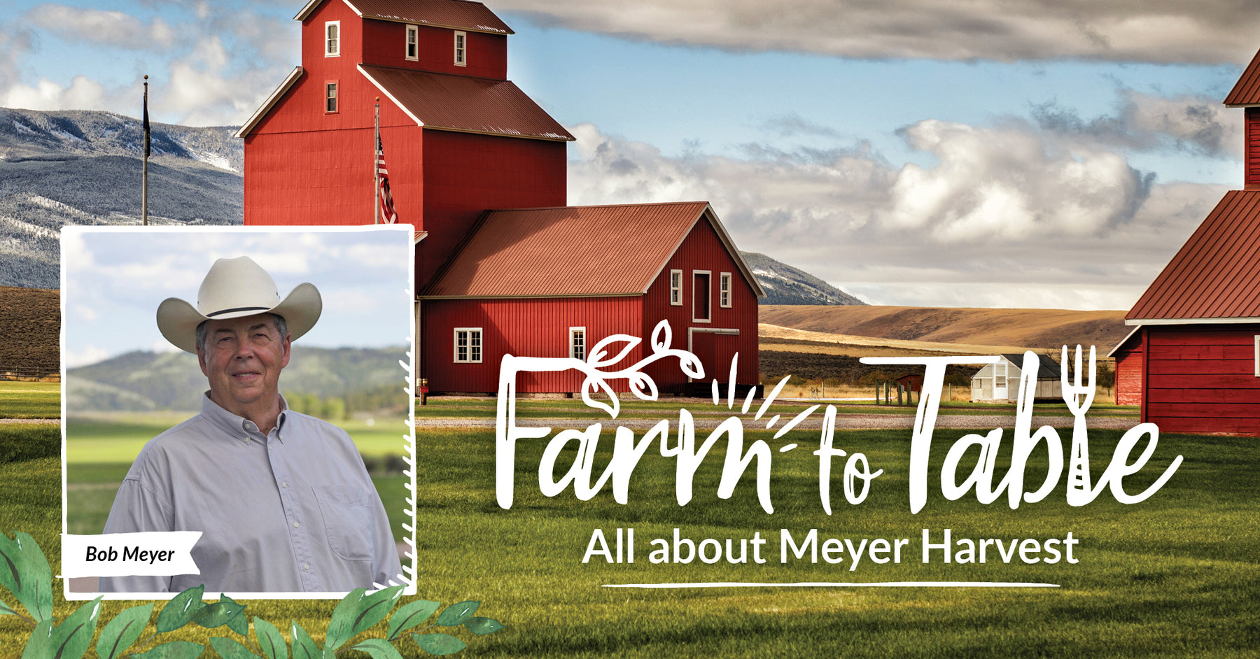 Farm to Table: All About Meyer Harvest