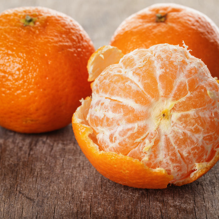 Nourishing Orange & Avocado Body Scrub