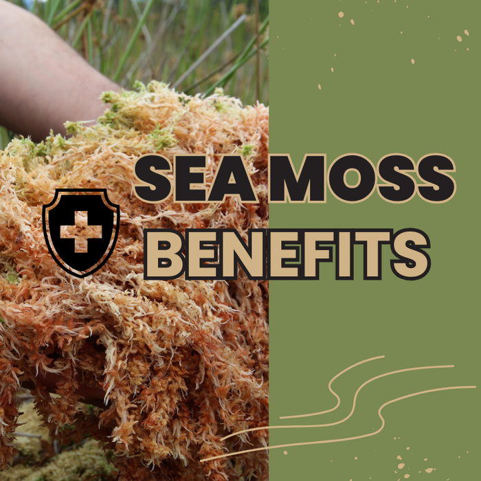 The Incredible Benefits of Sea Moss for Lifelong Wellness