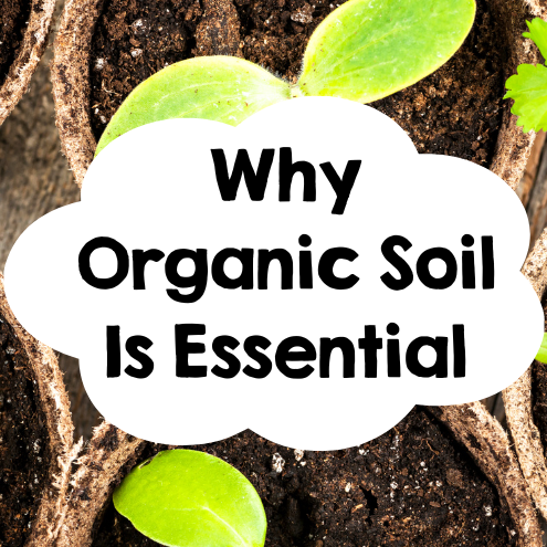 Why Organic Soil Is Essential