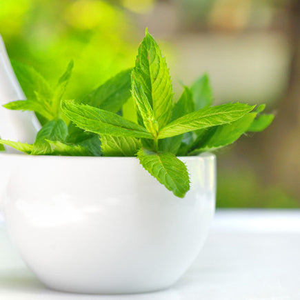 Refreshing Mint Leaf Face Mask