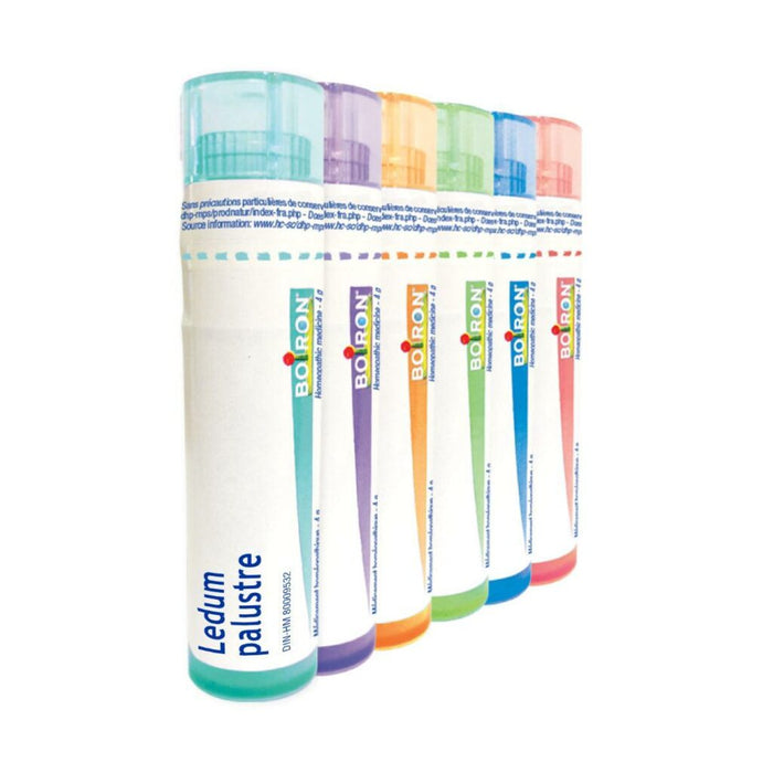 Boiron - Ledum Palustre 6ch, EACH