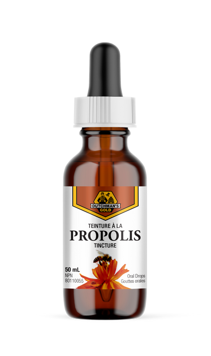 Dutchman's Gold - Propolis 50% Tincture, 50 mL