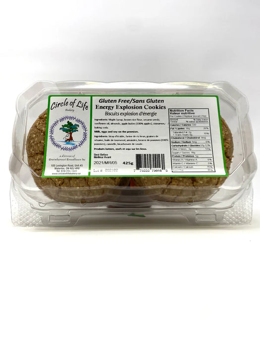 Circle of Life - Energy Explosion, 6 Count