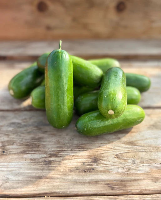 West Coast Seeds - Organic Mini-Me