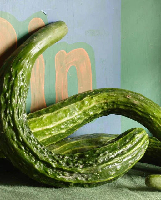 West Coast Seeds - Organic Suyo Long