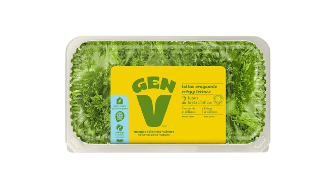 Gen V - Lettuce - Crispy Green, 2 Count