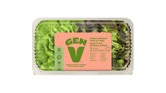 Gen V - Lettuce - Green & Red, 2 Count