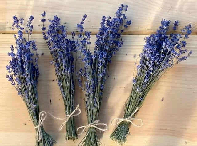 Lavender Creek Farms - Dried English Lavender - Mini, Each