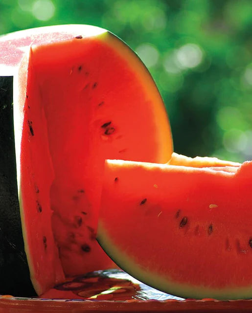 West Coast Seeds - Organic Sugar Baby