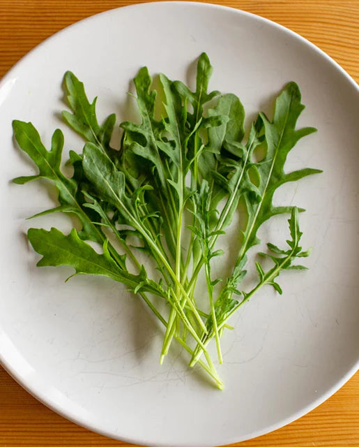 West Coast Seeds - Organic Selvatica