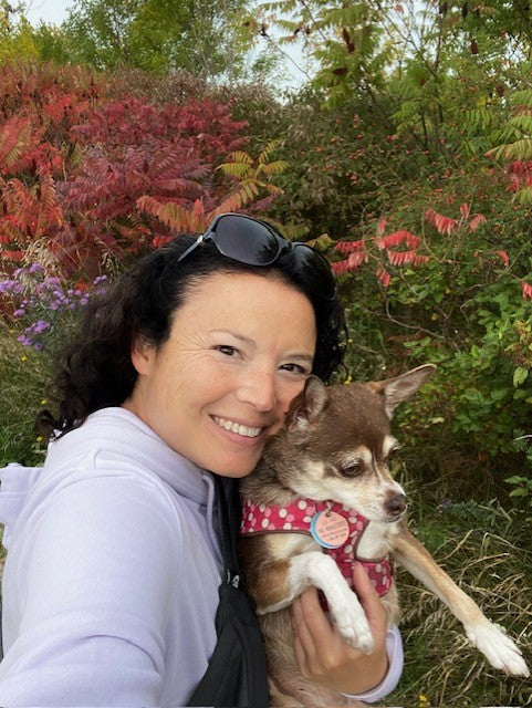 Rooted & Resilient: Ancient Self-Care for Winter & the Holidays | Nicole Andre  | Burlington | at Wed, Nov 26, 2025 05:30 PM EST