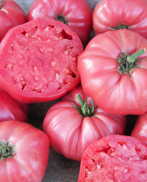 West Coast Seeds - Organic Pink Brandywine