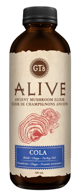 GT's Organic Kombucha - Alive - Cola, 480 mL