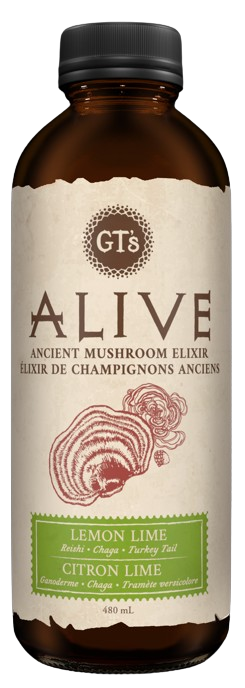 GT's Organic Kombucha - Alive - Lemon Lime, 480 mL