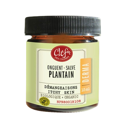 Clef Des Champs - Organic Plantain, 15 mL