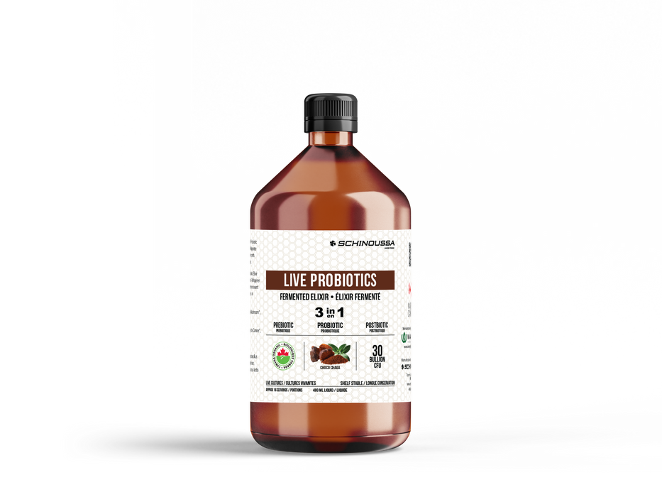 Schinoussa - Live Probiotic - Chocolate Chaga, 480 mL