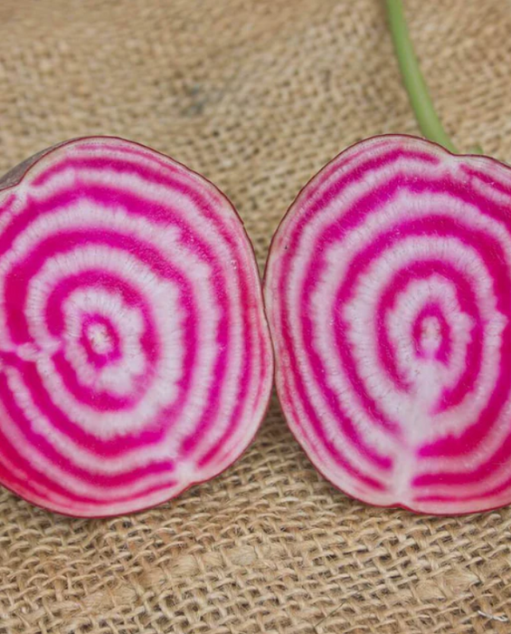 West Coast Seeds - Organic Chioggia, 100 Seeds