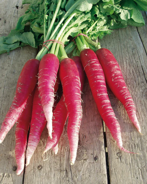 West Coast Seeds - Organic Ostergruss Rosa 2, 1 g