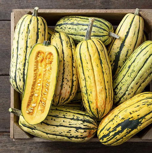 West Coast Seeds - Organic Bush Delicata, 2 g