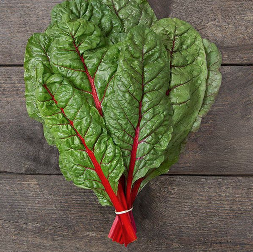 West Coast Seeds - Organic Rhubarb Supreme, 1 g