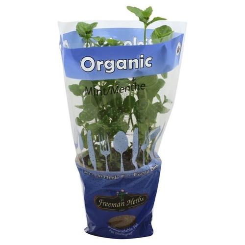 Freeman Organic Herbs - Mint - Spearmint, 4.5"