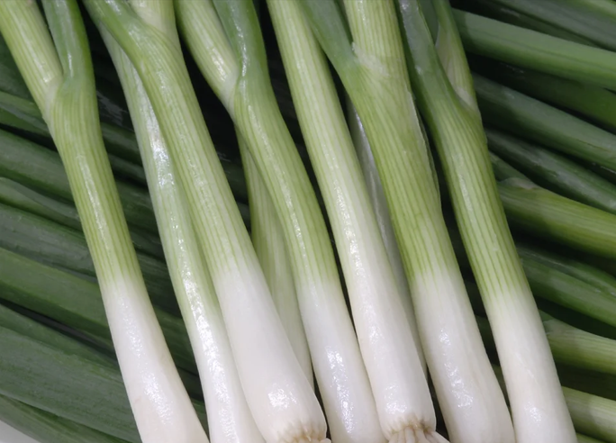 Freeman Organic Herbs - Onion - Bunching Green, 4.5"