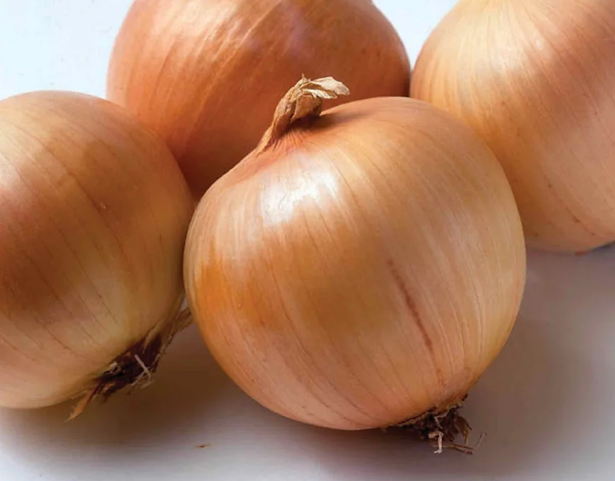 Freeman Organic Herbs - Onion - Spanish, 4.5"