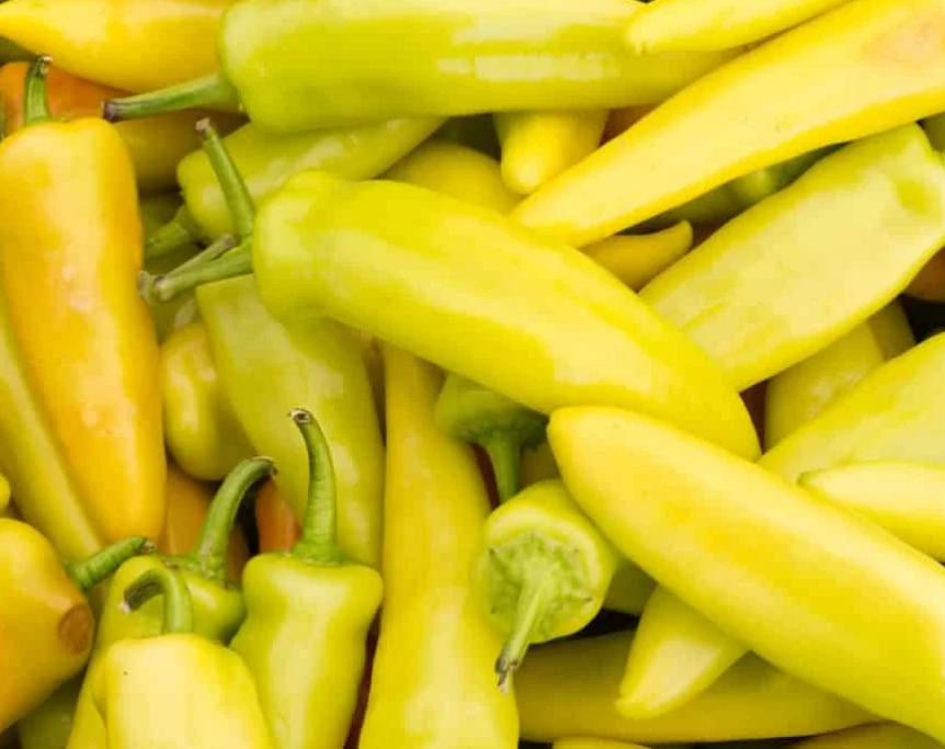 Freeman Organic Herbs - Pepper - Banana, 4.5"