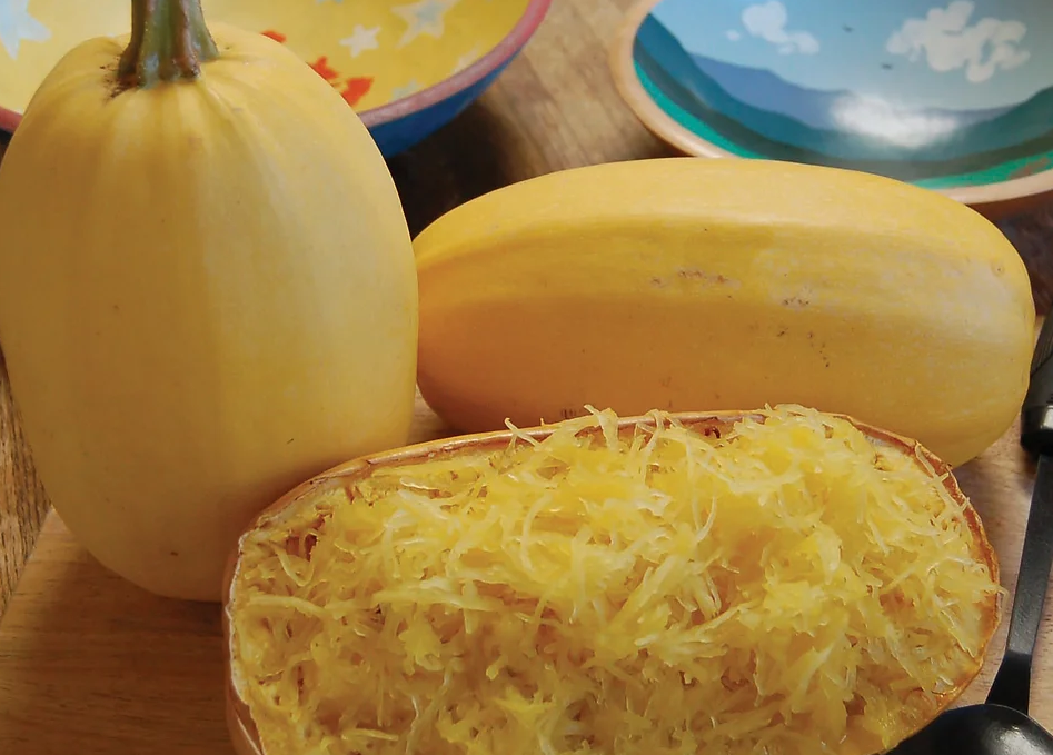 Freeman Organic Herbs - Squash - Spaghetti, 4.5"