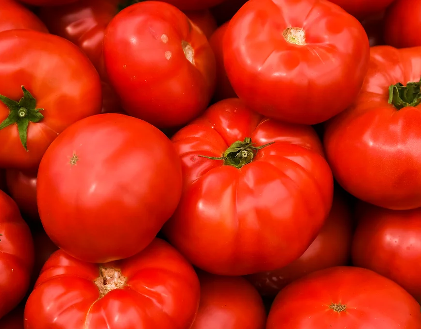 Freeman Organic Herbs - Tomato - Beefsteak, 4.5"