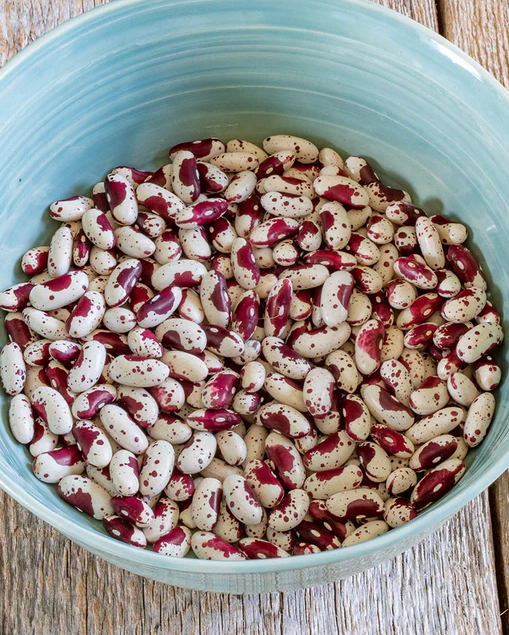 West Coast Seeds - Organic Jacob's Cattle Bean, 15 g