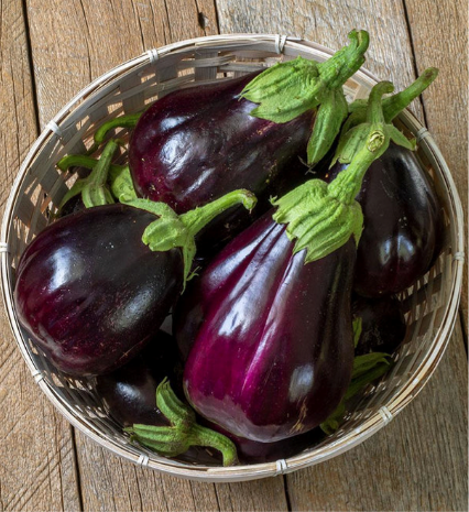 West Coast Seeds - Organic Black Beauty, 55 Seeds