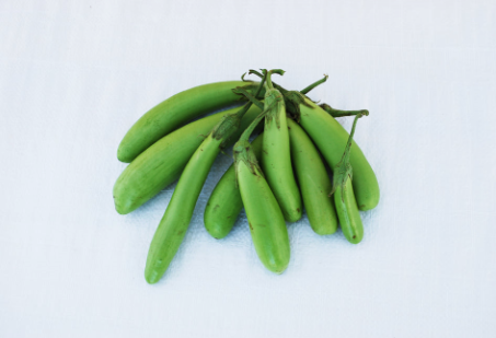 West Coast Seeds - Organic Thai Long Green, 50 Seeds