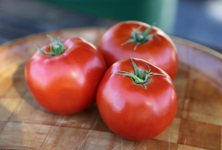 West Coast Seeds - Organic Galahad F1, 10 Seeds