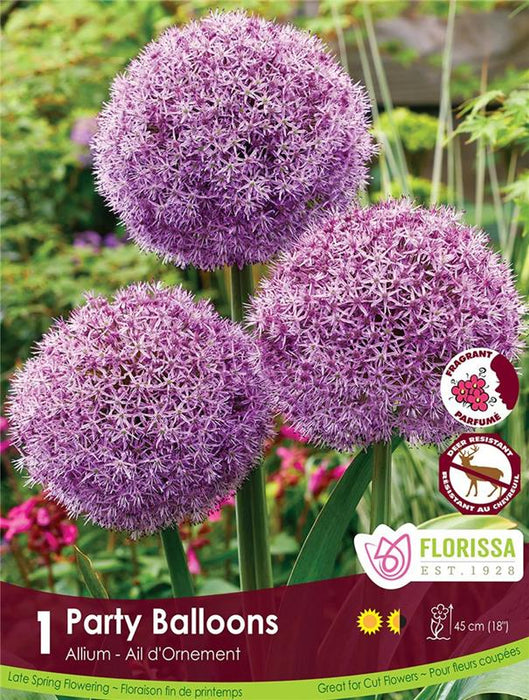 Florissa - Allium - Party Balloons, Each