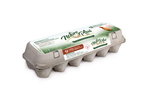 Nature Plus Eggs - Pasture Raised Brown XL Eggs, 12 Count