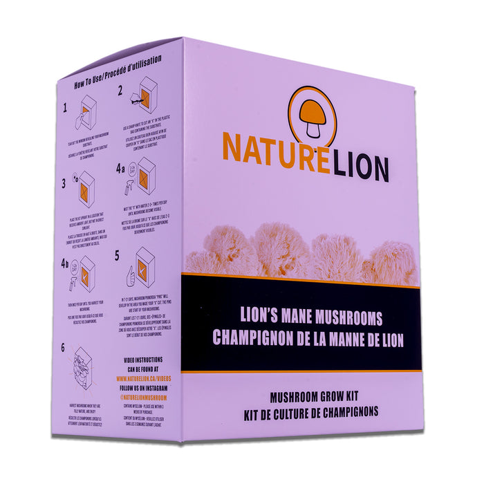 Nature Lion - Lions Mane Mushroom Grow Kit