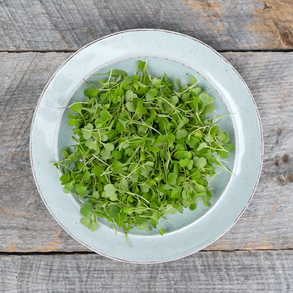 Cookstown Greens - Organic Arugula Microgreens, 75g