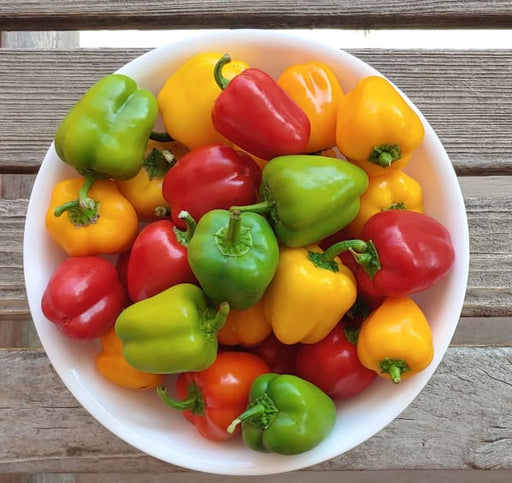 Cookstown Greens - Organic Mini Sweet Peppers, 227g