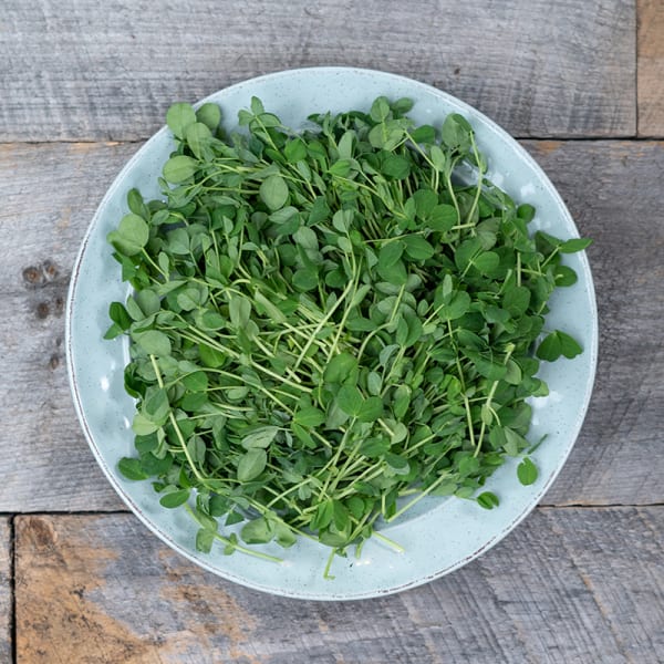 Cookstown Greens - Organic Pea Shoots, 100g