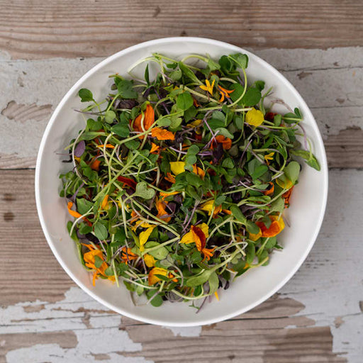 Cookstown Greens - Organic Seedling Salad, 100g