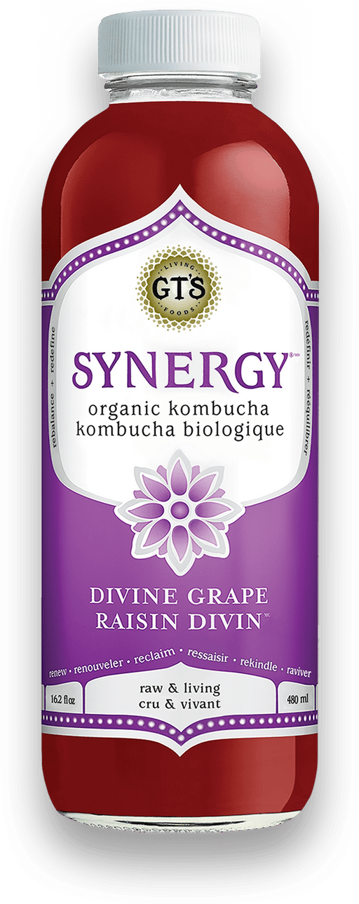 GT's Organic - Divine Grape Kombucha Drink, 480ml